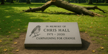 Widow campaigns for tree safety law after husband's tragic death
