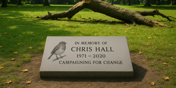 Widow campaigns for tree safety law after husband's tragic death