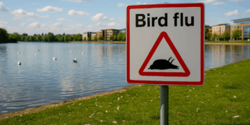 Health and safety measures introduced after bird flu outbreak in Doncaster