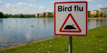 Health and safety measures introduced after bird flu outbreak in Doncaster