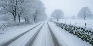 Cold weather alerts prompt health warnings as new year begins