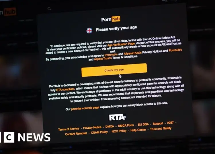 Guernsey reviews age verification for adult websites amid safety concerns