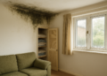 Mother fears health risks from mould in damp home ahead of winter
