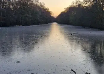 Please provide the news article for analysis.