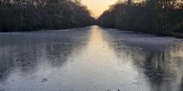 Please provide the news article for analysis.