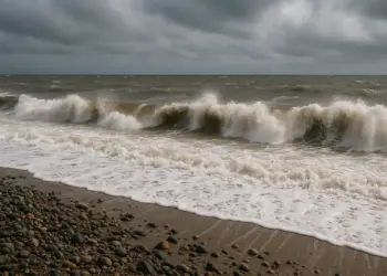 Swimmers warned to stay safe ahead of New Year sea plunges