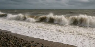 Swimmers warned to stay safe ahead of New Year sea plunges