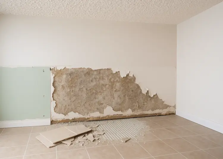 Asbestos risk persists in homes built before 2000, expert warns