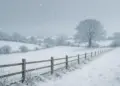 Cold health alert issued for England as snow and rain threaten disruptions