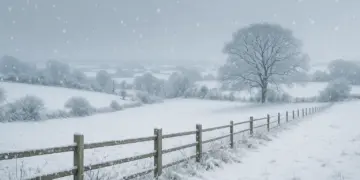 Cold health alert issued for England as snow and rain threaten disruptions