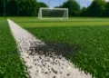 Union calls for ban on artificial football pitches over cancer fears