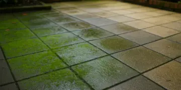 April patio hazards pose slip risks for older homeowners