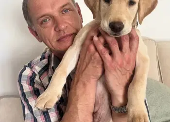 Father's dental treatment abroad leads to tragic suicide