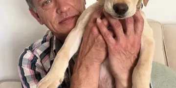 Father's dental treatment abroad leads to tragic suicide