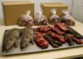 Police arrest man after illegal bushmeat raid in London