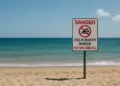 Tragedy strikes as heatwave leads to deadly drownings in the UK