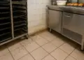 Bakery fined for serious mouse infestation in London store