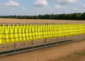 Farm safety event highlights urgent need for change in farming practices