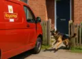 Guildford postcode among UK’s worst hotspots for dog attacks on postal workers