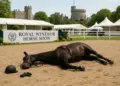 Investigations into soldier's death at Windsor Horse Show to take months