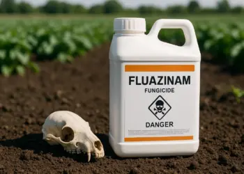 New study raises safety concerns over pesticide linked to brain development issues