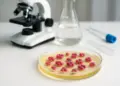 New targeted therapy shows promise against antibiotic-resistant gonorrhoea
