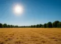UK sets new temperature records as heatwave continues