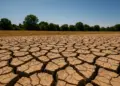 El Niño poses risk of extreme weather and record heat in UK