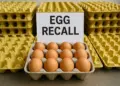 Salmonella outbreak in Belgium sickens 300 and sparks international egg recalls