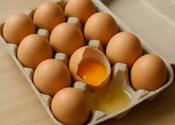 Salmonella outbreak linked to imported eggs leaves one dead and hundreds ill