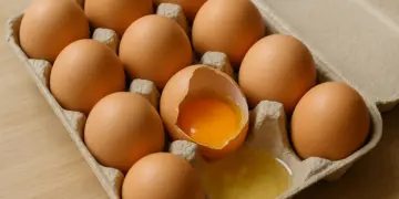 Salmonella outbreak linked to imported eggs leaves one dead and hundreds ill