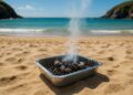 Cornwall considers ban on disposable barbecues amid safety concerns