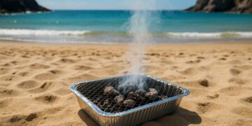 Cornwall considers ban on disposable barbecues amid safety concerns
