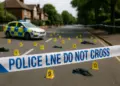 Mental health sector urged to confront violence risks linked to severe conditions